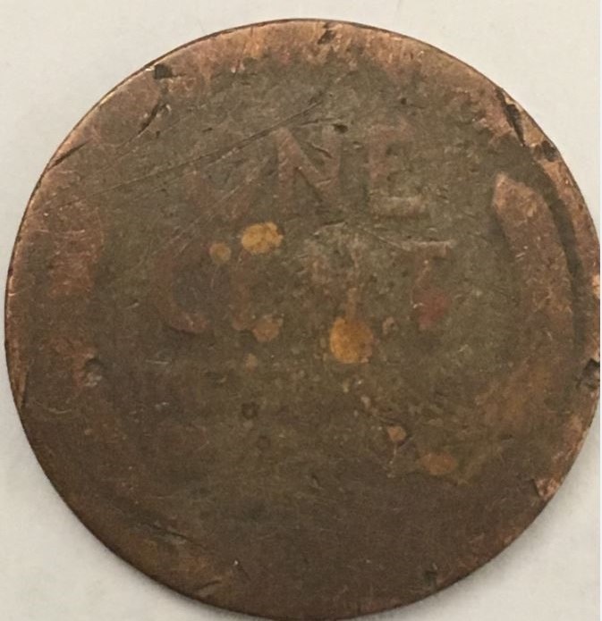1914-D-Wheat-From-Roll